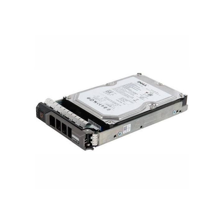 Dell 2TB NearLine SAS 6Gbps 7.2k