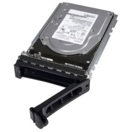 Dell 4TB 7.2K RPM NLSAS 12Gbps