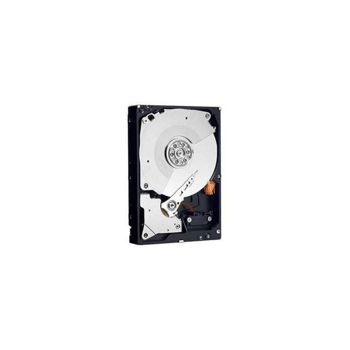 Dell HD 3T NL6 7.2K 3.5 S-MR-2 E/C