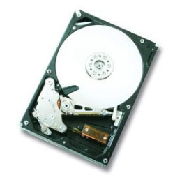 HGST 750GB SATAII 32MB, RAID