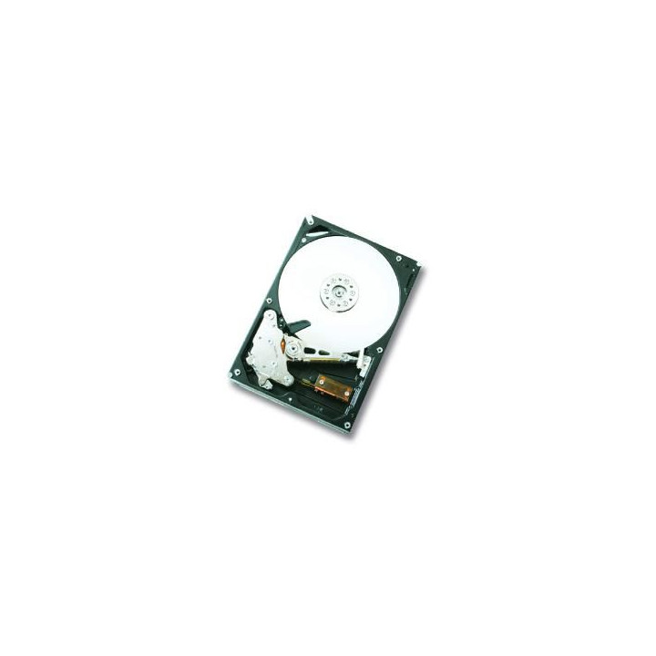 HGST 750GB SATAII 32MB, RAID