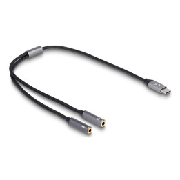 Delock Headset Adapter USB Type-CT