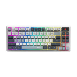 MSI Forge Gk600 Tkl Wireless Sky