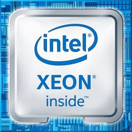 Intel Xeon SP E3-1225v6/3.3 **New
