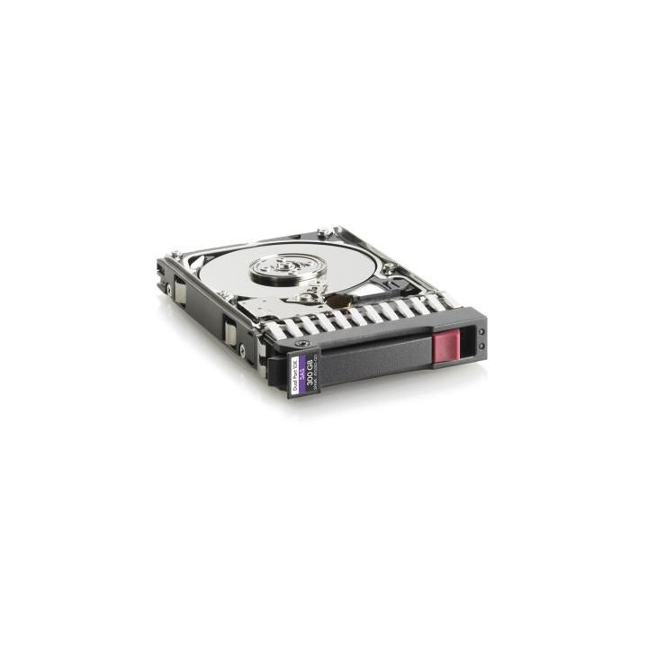 Hewlett Packard Enterprise 300GB 10.000Rpm 2.5 Inch SAS