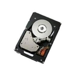 IBM 2 TB hot-swap 3,5" Slim Line