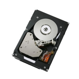 IBM 750GB/7.2K SATA E-DDM