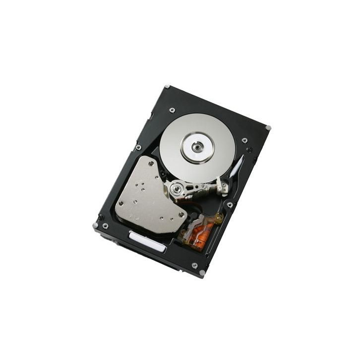 IBM 750GB/7.2K SATA E-DDM