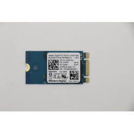 Lenovo 256GB M.2 PCIe NVMe