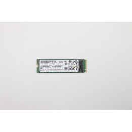 Lenovo 256GB M.2 PCIe NVMe