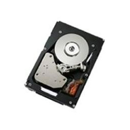 IBM 146GB hotswap 3.5inch 15K U320