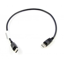 Lenovo DisplayPort to DisplayPort