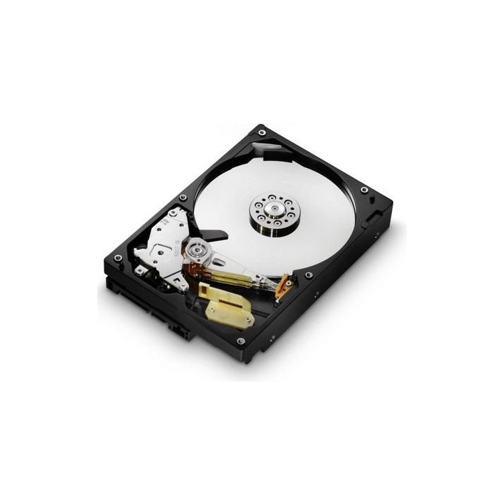 HGST 250GB SATAII 7200RPM 8MB