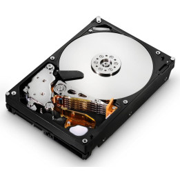 HGST 500GB SATAII 32MB, RAID