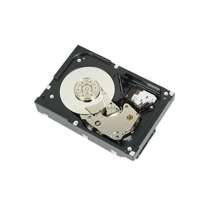 Dell HDD 4TB SAS 3,5 Inch 7,2K
