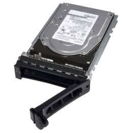 Dell SSDR 1.6T SAS12 2.5 TSHBA M2R