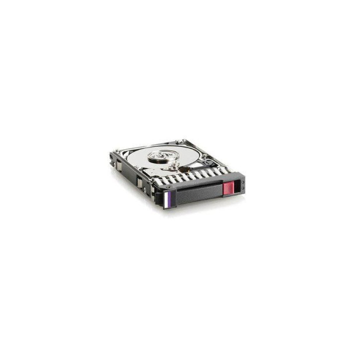 Hewlett Packard Enterprise DRV,HD,250GB,HD,SATA,ISS