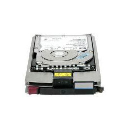 Hewlett Packard Enterprise 300GB HS DUAL PORT FC 10K HDD
