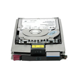 Hewlett Packard Enterprise 300GB HS DUAL PORT FC 10K HDD
