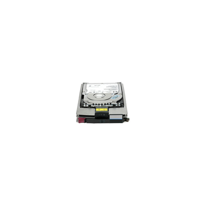 Hewlett Packard Enterprise 300GB HS DUAL PORT FC 10K HDD