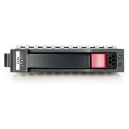 Hewlett Packard Enterprise 250GB SATA 7.200Rpm