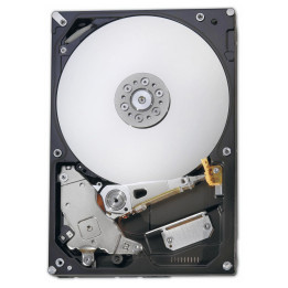 IBM HDDS 320GB