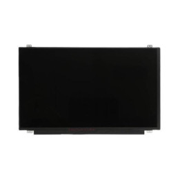 Lenovo Display 15.6 Inch