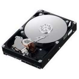 IBM ExS/146G 15K 6Gbps 2.5"SlimHSH