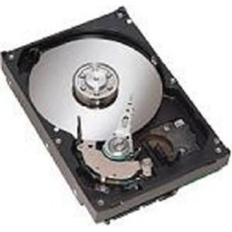 IBM 1TB 7.2K RPM SATA