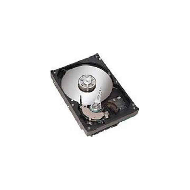 IBM 1TB 7.2K RPM SATA