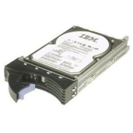 IBM 1TB 6Gbps NL 2,5" SAS SS SFF