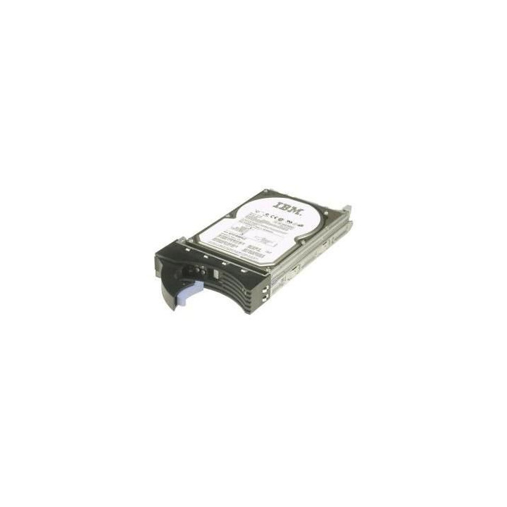 IBM 1TB 6Gbps NL 2,5" SAS SS SFF