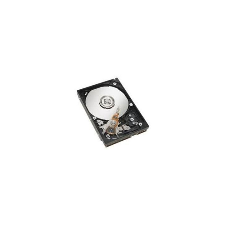 IBM 500GB 6Gbps NL 2,5" SATA HS