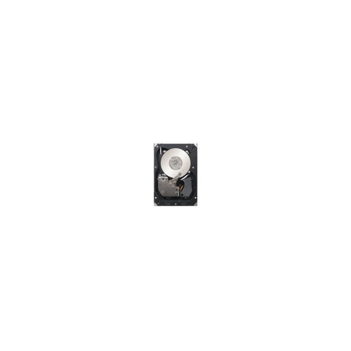IBM 1TB 6Gbps NL 2,5" SATA HS