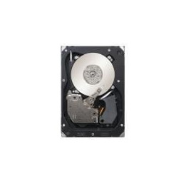 IBM 1TB 6Gbps NL 2,5" SATA HS