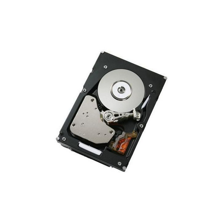 IBM 300GB 2,5" SAS 15K