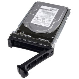 Dell HD 1T NL6 7.2K 3.5 WD-VER E/C
