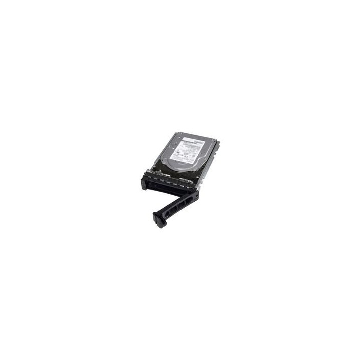 Dell HDD 1TB 7,2K 3,5 Inch SAS